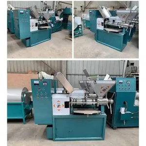 PanQi Automatic Sunflower Sesame Olive Soybean Oil Press Machine thumbnail-6