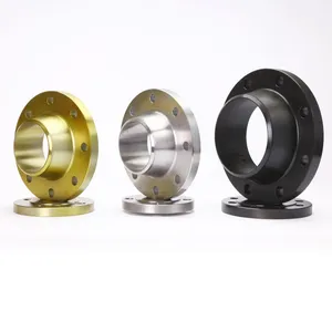 ANSI B16.5 Inlet Flange Forged Carbon/Stainless Steel Flanges Blind Flange thumbnail-5
