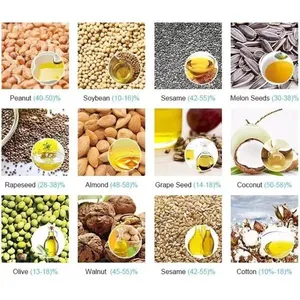 Hydraulic Oil Vegetable Oil Edible Oil Pressing Machine Cold & Hot Pressing Machine thumbnail-6