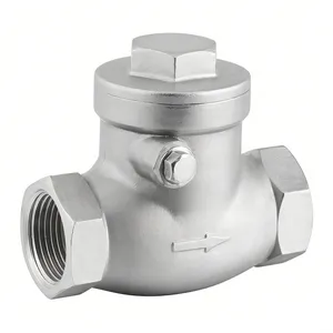 Class 200 Threaded Swing Check Valve | NPT/BSPT Stainless Steel Non-Return Valve | Shaanxi Gold-Stone thumbnail-1