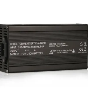 48V LiFePO4 charger (1)