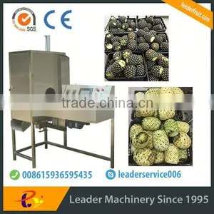 Leader Pineapple Peel and Pulp Separater With Low Power Consumption thumbnail-1