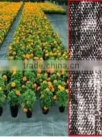 Tarpaulin thumbnail-4