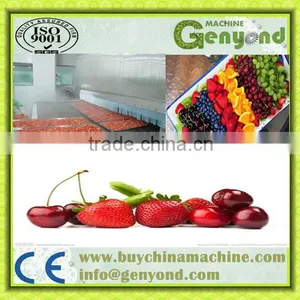 Seafood Tunnel Quick Frozen Liquid Nitrogen Equipment thumbnail-1