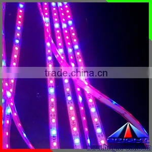Red and Blue Color Grow Light Flexible Led SMD 5050 thumbnail-1