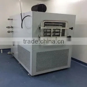 30-40kg Freeze Dryer/vaccum Vacuum Freeze Dryer for Fruits &vegetables Drying Equipment thumbnail-2