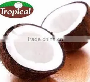 Multipurpose Extra Virgin Coconut Oil thumbnail-2