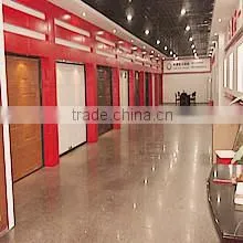 Zhejiang Pioneer Technology Co., Ltd. company overview - view 1 thumbnail