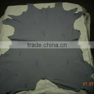 Wet Blue Calf Leather thumbnail-1