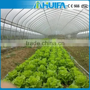 Polycarbonate Roof Sheet Greenhouse thumbnail-2