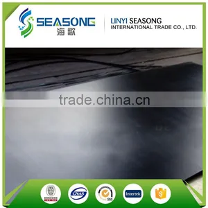 Competitive Price Film Faced Plywood for Construction thumbnail-4