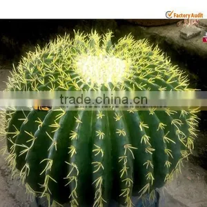 My Dino-Modern Abstract Fiberglass for Artificial Cactus thumbnail-1