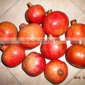 Fresh Pomegranate thumbnail-1