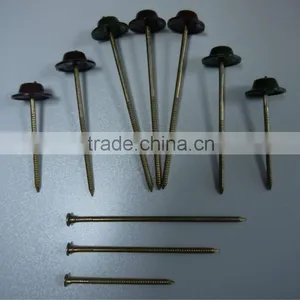 1-6'' Galvanized Roofing Nail Plastic Cap Nails thumbnail-1