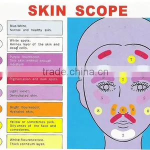 10 Mega Pixels Beauty Hair and Skin Analysis System With Analysis Report Ts-1 thumbnail-6