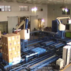 Robot Palletizing Machine thumbnail-2