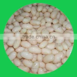 Canned White Kidney Beans in Brine 425ml thumbnail-1