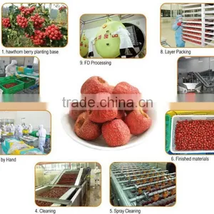 In Order to Healthy Select Organic Health Quick-frozen Hawthorn Berry Fresh Fruit thumbnail-6