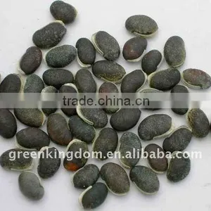 Green Wide Leaves High Protein Lablab Bean Seeds in Agriculture thumbnail-1