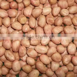 Round Peanut Kernel thumbnail-1