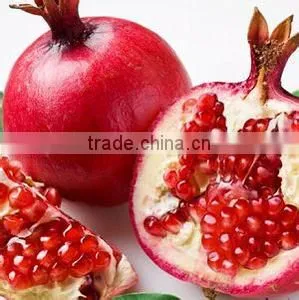GMP Wholesale Pomegranate Extract Powder thumbnail-1