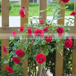 Graden Sundry Jute Twine Garden Tools thumbnail-1