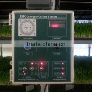 BK Conveyor Culture thumbnail-3