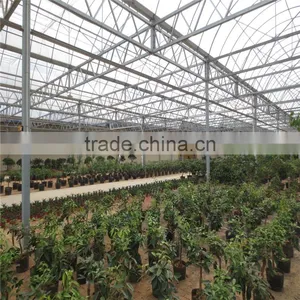 High Quanlity Green House for Vegetables thumbnail-2