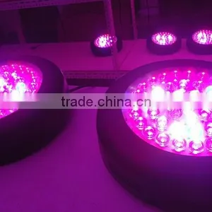 135w Led Grow Light 45x3W With Optical Lens,best for Plants Growth and Flowering thumbnail-4