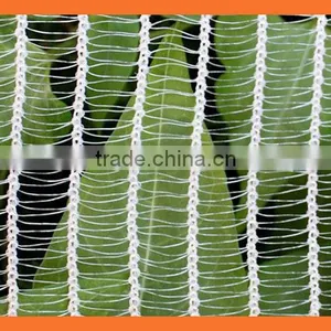 50gsm Apple Tree Anti Hail Net thumbnail-2