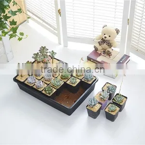 Plastic 24 Divided Plant Flower Pots thumbnail-2
