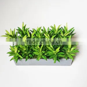 Real Touch Mixed Mini Fake Succulent Plants Sets for Decor thumbnail-1