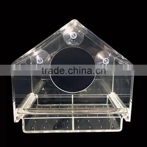Custom Clear Acrylic Bird Feeder thumbnail-6