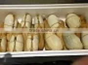 Live Canadian Geoduck thumbnail-1