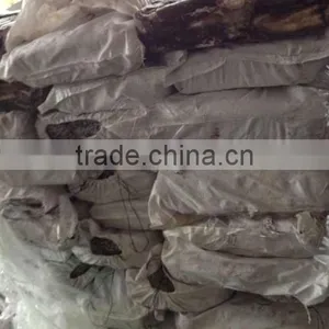 Peru Squid Exporter SFS GS Squid for Sale thumbnail-2