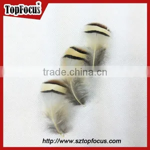 6-8cm Cheap Reeves Pheasant Tail Feathers Headpiece Carnival thumbnail-4