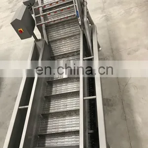 Technology Bubble Fruit Washing and Sorting Machine thumbnail-3