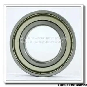 110x170x28 Bearing thumbnail-1