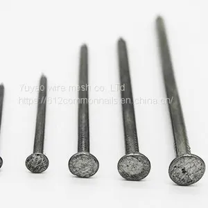Common Nail/ Iron Nail/ Wire Nails thumbnail-3
