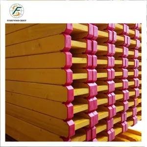 China Pine H20 Timber Beam for Construction Slab thumbnail-5
