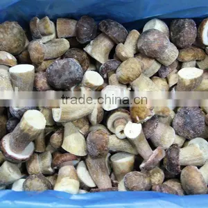 Frozen Boletus Edulis, Whole, Grade B, 4-6cm thumbnail-1
