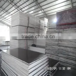 Poplar Film Face Plywood Good Price thumbnail-1