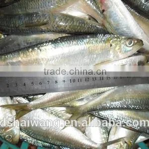 China Exporter Frozen Sardinella Lemuru Fish thumbnail-2