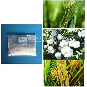 Plant Rooting Hormone Auxin Naa 1-Naphthylacetic Acid 98%TC thumbnail-2