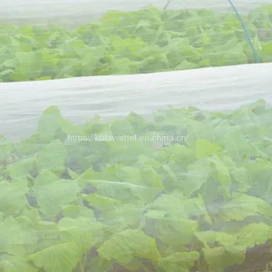 Hdpe Agricultural Plastic Mesh Fruit and Vegetable Insect Net Vegetable Farm Insect thumbnail-4
