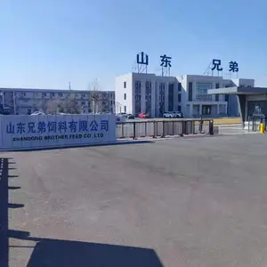 Shandong Brother Feed Co.,Ltd company overview - view 1 thumbnail