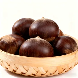 Fresh Shan Dong Chestnut thumbnail-4