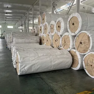 PP Woven Fabric Rolls for Custom Tarpaulin and Shelter Covers thumbnail-1