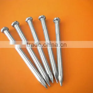 Galvanized Concrete Nail thumbnail-1