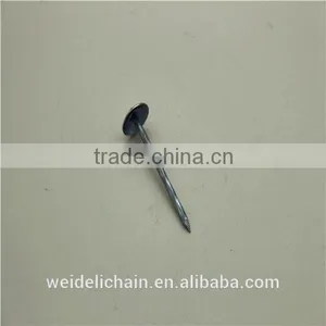 BWG9X3" UMBRELLA ROOFING NAILS thumbnail-3